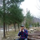 커피니익산