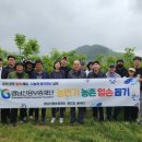 신용농장 이미지