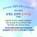 다솜고양이메디컬센터 이미지