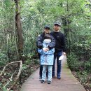 몽중루의 제주 여행, (9) 도립공원 제주 곶자왈 이미지