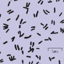 고양센트럴요양병원 이미지