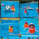 고려태권도 이미지