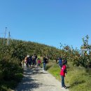 블루베리사슴농장 이미지