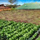 대교경로당 이미지