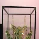 호텔여기어때 경주보문점 이미지