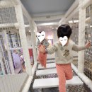 상일동주민센터 | 주차 걱정 뚝! 4살 활동적인 아이라면 '서울형 키즈카페 상일2동 2호점' 강추 (시설·주차 정보)