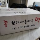 꽃보다아름다운떡