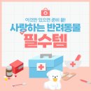 평화대성약국 이미지