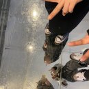 카페나하서울 - 13972 | 카페나하서울