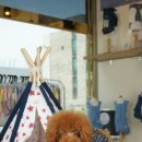 마린독스 이미지