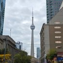 제이스 관광호텔 | 비 와서 흐린 날 토론토 시내 관광은 참 음울하다