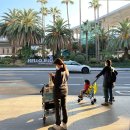 제주 | 스놉부티크스테이 · 서귀포 오션뷰 중문 호텔 디럭스룸 내돈내산 후기