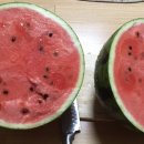 일품향가든 이미지