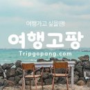 제주출발 발리 여행 (싱가포르 경유) 3박5일 / 4박6일 일정 안내 이미지