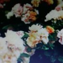 넘버나인 이미지