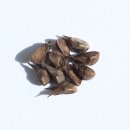 공단9로-L 이미지