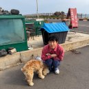 순이네 이미지