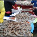 안면도수산업협동조합 이미지