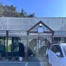 갤러리밥스 | 강원도 감성 카페 추천 &#34;갤러리밥스&#34; 후기! 초당옥수수커피에 반함🌽