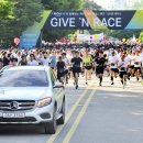 기브코리아 이미지