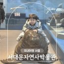 서울 실내 아이랑 갈만한곳 서대문자연사박물관 입장료 예약 북파크 놀거리