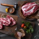 송도목장 이미지