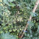 무지개상가 이미지