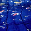 물고기마을 이미지