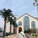 켈리포니아 | 청주 신상 대형카페 카페 캘리포니아 내돈내산 방문후기