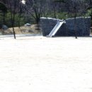 서울대청초등학교 이미지