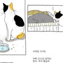 빵굽는고양이 이미지
