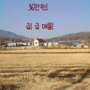 청백공인중개사사무소 이미지