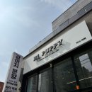 하이퍼피 강아지분양 고양이분양 군산본점 | 새로운 가족, 반려견 사랑이🐶🤍