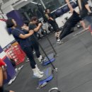 샐그릿 이미지