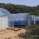 오디하우스 이미지