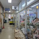 스노우플레르