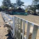 새하얀목장 이미지