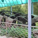 (주) 철마관광 이미지