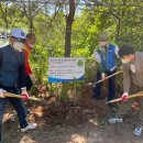 서구 자원봉사센터(9) 이미지
