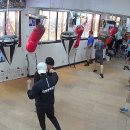 광주화랑권투 이미지