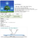 유니피아 이미지