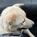 선산동물병원 이미지