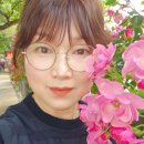 우면주공아파트 이미지