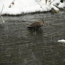 산너머남촌에는 이미지