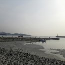 남당항 이미지