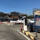 신용수산 | 하남수산시장 킹크랩 맛집 찾는다면? 3.7kg 먹은 솔직 후기