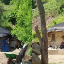 수하골(2) 이미지