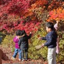 광적어린이집 이미지