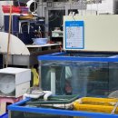 솔향인테리어 | [강릉항가성비맛집] 경포대 말고 여기! 강릉항회센터 '솔향' 모듬회 포장 반해버림