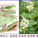 떡하지 이미지